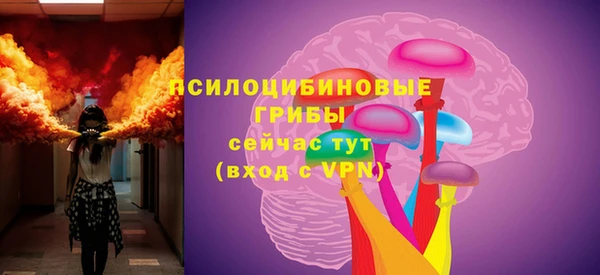 стафф Алзамай