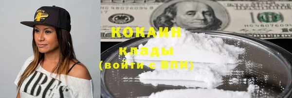 стафф Алзамай