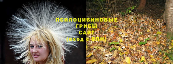 стафф Алзамай