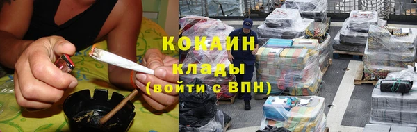 стафф Алзамай