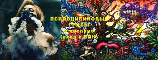 спиды Алексеевка