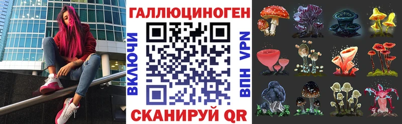 сколько стоит  blacksprut ONION  Псилоцибиновые грибы прущие грибы  Тайшет 