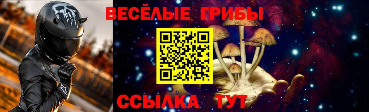 Псилоцибиновые грибы мухоморы Тайшет